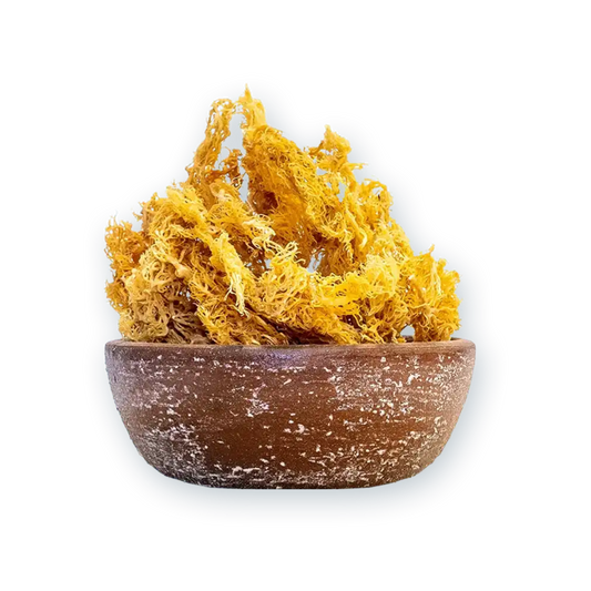 Wholesale Sea Moss